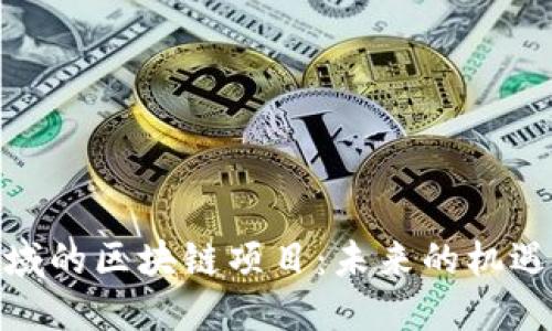 金融领域的区块链项目：未来的机遇与挑战