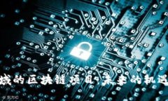 金融领域的区块链项目：未来的机遇与挑战