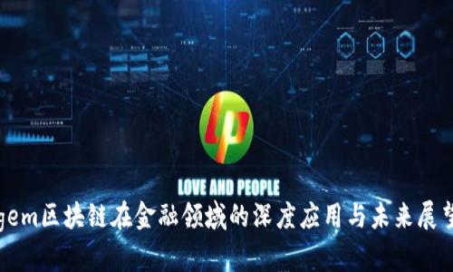 gem区块链在金融领域的深度应用与未来展望